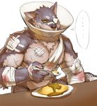  bandages elizabethan_collar eyepatch food furry injury jacketbear muscle no_humans omurice original scar snout solo 