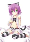  :o animal_ears barefoot cat_ears cat_tail coat crop_top dennryuurai facial_mark fang flat_chest goat_eyes green_eyes hat hat_removed headwear_removed highres looking_at_viewer merry_nightmare midriff navel open_mouth paw_pose purple_hair short_hair simple_background sitting skirt solo striped striped_legwear symbol-shaped_pupils tail thighhighs toeless_legwear wariza white_background wristband yumekui_merry 