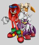  anthro avian bandanna bird clothing cream_the_rabbit deviantart echidna eyelashes eyewear feathers female footwear fur gloves group jewelry knuckles_the_echidna lagomorph looking_at_viewer male mammal monotreme necklace one_eye_closed purple_feathers rabbit red_fur rondineviola shoes simple_background sitting smile sonic_(series) sonic_riders standing sunglasses swallow_(bird) teeth watermark wave_the_swallow wink 