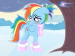  2013 absurd_res blue_feathers blue_fur blush bush clothing cutie_mark equine feathers female feral friendship_is_magic fur hair hi_res landscape legwear mammal multicolored_hair multicolored_tail my_little_pony nature nightmaremoons outside pegasus rainbow_dash_(mlp) rainbow_hair rainbow_tail red_eyes scarf sky smile snow solo tree wings winter 