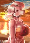  anthro big_breasts breasts canine cleavage clothed clothing cloud dog ear_piercing female hair jewelry looking_at_viewer mammal nogi paws piercing railing red_eyes short_hair sky solo sun tube_top water white_hair wood 