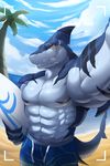  abs anthro beach biceps big_muscles bulk fish hi_res huge_muscles invalid_tag macro male marine muscular pecs photo seaside shark smile solo 