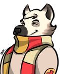  anthro bloopa canine mammal scarf team_fortress_2 valve video_games wolf 