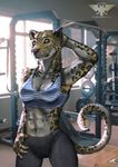  abs alekksandar anthro athletic bra breasts claws cleavage clothed clothing exercise feline female fur grey_eyes gym hand_behind_head hi_res inside leopard looking_at_viewer mammal muscular muscular_female navel raised_arm solo sports_bra spots spotted_fur underwear whiskers workout yoga_pants 