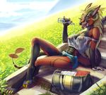  abs athletic bag breasts claws clothing felkin female grass hi_res horn hotpants landscape leaning leaning_back looking_at_viewer midriff muscular nipples off_shoulder outside paws piercing shirt sitting smile solo sorafoxyteils tank_top toe_claws translucent transparent_clothing vera_(jelomaus) water wet 