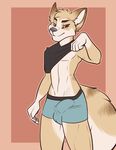  anthro briefs bryce_(lonewolfhowling) bulge canine casparr clothed clothing clothing_lift dingo looking_at_viewer male mammal shirt shirt_lift simple_background solo teasing underwear 