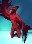  2015 anthro avian balls beak bird black_penis cardinal_(bird) crest cypress_(pjt) feathers hi_res kneeling littlebat male navel nude penis red_eyes red_feathers solo tail_feathers winged_arms wings 