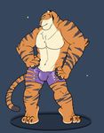  animated anthro biceps bulge clothed clothing dancing disney feline fur male mammal muscular no_sound pecs pink_nose rheobear shorts simple_background smile solo standing stripes stripper stripper_tiger_(zootopia) tiger topless white_fur zootopia 