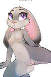  2016 :&lt; anthro breasts clitoris disney female fur grey_fur hi_res humanoid_pussy judy_hopps lagomorph long_ears looking_at_viewer mammal navel nipples nude presenting presenting_pussy purple_eyes pussy rabbit simple_background small_breasts solo spread_legs spreading white_background zero-sum zootopia zootopoa 