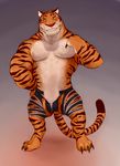  2016 anthro anubis-kruger biceps big_muscles black_fur blush bulge censored claws clothed clothing disney feline fur green_eyes iceman1984 looking_at_viewer male mammal muscular muscular_male orange_fur pecs raised_arm smile solo standing stripes stripper_tiger_(zootopia) teeth tiger toe_claws topless underwear white_fur zootopia 