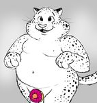  benjamin_clawhauser cheetah disney doughnut erection feline food food_play male mammal moobs navel nishi nude overweight penis precum small_penis solo zootopia 