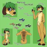  animal_genitalia animal_penis anthro balls coldheartedhero collar copy-paste_genitalia eyewear feral glasses green_hair hair hi_res male mammal marcus_techkat meerkat model_sheet mongoose pattern_background penis scar sheath simple_background solo 