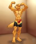 5_toes abs animal_genitalia animal_penis black_nose canine canine_penis chase_(retriever) clothed clothing dog flexing fur golden_retriever hi_res knot male mammal muscular muscular_male pecs penis shorts solo standing toes vallhund watermark yellow_fur yellow_tail 