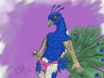  2010 alcohol anthro avian beak beverage bird blue_feathers catgir clothed clothing feathers food male peacock_feather peafowl solo speedo standing swimsuit talons topless wine 