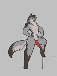  alorix animal_genitalia animal_penis anthro canine canine_penis male mammal nude penis pose seximals simple_background solo wolf 