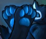  4_toes :3 bioluminescence blue_eyes blue_fur cat digitigrade feline feral foot_focus fur glowing looking_at_viewer mammal pawpads paws solo space toes trigaroo 