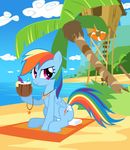  absurd_res coconut cutie_mark digital_media_(artwork) equine feathers female feral food friendship_is_magic fruit grapes hair hi_res horse mammal mick-o-maikeru multicolored_hair my_little_pony palm_tree pegasus rainbow_dash_(mlp) rainbow_hair seashell seaside solo towel tree wings 