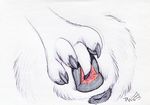  2016 animal_genitalia animal_pussy anus canine canine_pussy female fingering fur mammal masturbation paper-wings pussy pussy_juice solo spread_pussy spreading vaginal white_fur 