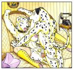  101_dalmatians anthro blue_eyes breasts butt canine choker clothing dalmatian disney dog duo female green_eyes legwear male male/female mammal mariano nipples nude open_mouth penetration phone pubes sex sofa spread_legs spreading tongue vaginal vaginal_penetration 