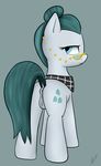  2016 anus blue_eyes butt cloudy_quartz_(mlp) cutie_mark earth_pony equine eyewear female feral friendship_is_magic fur glasses green_hair grey_background grey_fur hair hi_res horse looking_at_viewer looking_back mammal my_little_pony neighday pony pussy scarf simple_background solo 