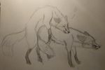  all_fours canine corsack digitigrade doggystyle duo feral feral_on_feral fox from_behind_position humping mammal mounting nude pencil_(artwork) penetration sex traditional_media_(artwork) 