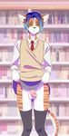  2016 archie_shepard balls blue_eyes blue_hair cat clothed clothing clothing_lift crossdressing feline front_view girly green_eyes hair heterochromia hi_res inner_ear_fluff inside legwear library looking_at_viewer male mammal penis school_uniform shy skirt skirt_lift solo standing stockings uniform zaporozhets 