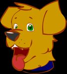  black_background canine collar digital_media_(artwork) dog feral floppy_ears fur green_eyes grey_nose headshot_portrait looking_at_viewer low_res mammal open_mouth orange_fur portrait simple_background solo tongue tongue_out unknown_artist 