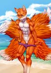  2016 abs alanscampos anthro beach biceps blue_eyes brown_fur canine clothed clothing cloud cuntboy digital_media_(artwork) fluffy_tail fox fur intersex mammal multi_tail muscular navel nipples open_mouth outside panties panty_pull partially_clothed pecs portrait pussy sand seaside sky solo teeth three-quarter_portrait tongue topless underwear undressing water white_fur 