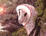  ambiguous_gender brown_eyes brown_spots cryolophosaurus dinosaur feathered_dinosaur feathers feral fluffy forest looking_at_viewer misleading_thumbnail outside scales solo teeth theropod tree unknown_artist white_feathers white_scales 