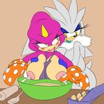  2016 anthro apron areola big_breasts breast_milking breasts chameleon clothed clothing cooking crossgender duo egg espio_the_chameleon female food fur grope hand_on_breast hedgehog hi_res huge_breasts kitchen lactating lizard mammal milk nipples nude open_mouth ravnic reptile scalie silver_the_hedgehog sonic_(series) spoon tongue video_games white_fur 