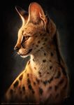  2015 amber_eyes ambiguous_gender ear_piercing feline feral johis looking_away mammal piercing portrait realistic serval simple_background solo whiskers 