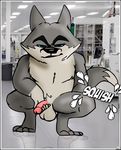  agent_classified anthro anthrofied arctic_wolf balls canine dreamworks hi_res jerseydevil madagascar male mammal masturbation muscular north_wind penile_masturbation penis solo the_penguins_of_madagascar wolf 