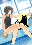  aihara_kaichi amagami bad_id bad_pixiv_id black_eyes black_hair cat caustics cloud competition_swimsuit day dutch_angle indoors knees_together_feet_apart legs light_smile nanasaki_ai one-piece_swimsuit pool poolside puu_(amagami) short_hair sitting soaking_feet solo swimsuit towel water wet window 