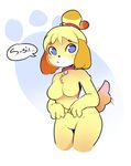  animal_crossing black_nose blonde_hair blue_eyes blush breasts collar english_text featureless_breasts female fur hair hi_res isabelle_(animal_crossing) itsunknownanon looking_at_viewer nintendo nude pussy simple_background smile solo standing text video_games white_background white_fur yellow_fur 