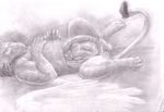  avian balls belly curled_up duo greyscale gryphon human internal jeri_kleinlowe male mammal monochrome nude pencil_(artwork) penis sleeping solo_focus traditional_media_(artwork) vore 