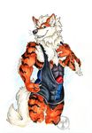  anthro anthrofied arcanine bulge canine chest_tuft clothing erection flexing grin looking_at_viewer male mammal neverwolf nintendo penis penis_outline pok&eacute;mon poking_out signature solo standing tight_clothing tuft video_games wrestling_singlet 