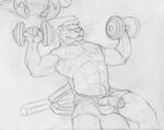  abs anthro balls barbell bedroom_eyes biceps body_hair bulge clothed clothing erection exercise front_view greyscale half-closed_eyes happy_trail humanoid_penis looking_at_viewer male mammal monochrome muscular mustelid neverwolf nipples opencanvas otter pecs pencil_(artwork) penis penis_outline penis_through_leghole poking_out reclining retracted_foreskin seductive smile solo topless traditional_media_(artwork) training uncut weightlifting weights workout 