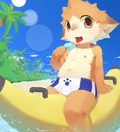  beach bottomless bulge canine clothed clothing cub dog food front_view landscape leaning leaning_back looking_at_viewer mammal moki mole navel nipples open_mouth penis_outline pool_toy popsicle seaside sitting solo speedo straddling swimsuit tongue tongue_out topless young 
