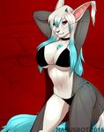  2016 anthro big_breasts big_ears bikini black_nose breasts cat clothed clothing crossgender exotic feline female fur hair holidays horn huge_breasts long_hair looking_at_viewer lyrian mammal nasusbot prince_vaxis_(copyright) princess princess_vaxi red_eyes royalty simple_background smile solo swimsuit translucent valentine&#039;s_day white_fur 