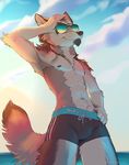 anthro canine clothed clothing digital_media_(artwork) eyewear facial_hair fur grey_fur hand_on_hip koul male mammal navel nipples outside portrait solo standing sunglasses swimsuit three-quarter_portrait topless white_fur wolf 