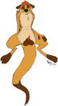  anatomically_correct anatomically_correct_penis animal_genitalia animal_penis anthro balls disney erection front_view hi_res looking_down male mammal meerkat mongoose mongoose_penis penis precum sheath signature simple_background sitting sketch smile solo spread_legs spreading the_lion_king timon white_background wolftacos 