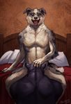  2016 anthro back_muscles bed bedroom black_fur brown_fur canine digital_media_(artwork) dog duo faceless_male feline fellatio fur hand_on_head inside looking_pleasured male male/male mammal on_bed open_mouth oral panther pillow sex sitting smile tan_fur tongue tongue_out trunorth 