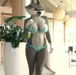  agent_classified anthro anthrofied big_breasts bikini blue_eyes breasts canine cleavage clothed clothing crossgender edit female fur grey_fur madagascar mammal oystercatcher7 photo_manipulation photomorph solo swimsuit the_penguins_of_madagascar wolf 
