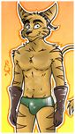 2013 abs anthro athletic black_nose bulge clothed clothing digital_media_(artwork) fur kcee lombax looking_at_viewer male mammal navel pecs pose ratchet ratchet_and_clank simple_background smile solo speedo standing swimsuit teeth topless video_games 