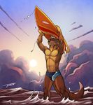  bulge clothed clothing hi_res male mammal mustelid otter sea solo speedo surfboard swimsuit topless tsaiwolf twitch7 water 
