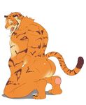  a8tk_ing anthro biceps big_muscles brown_fur butt feline fur kneeling looking_at_viewer looking_back male mammal muscular muscular_male nude open_mouth orange_fur pink_nose simple_background solo stripes teeth tiger tongue white_background white_fur yellow_eyes 