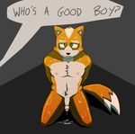  canine cum fox fox_mccloud hi_res male mammal nintendo nipples nude penis phallusfantasy slave solo star_fox video_games 
