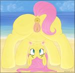  2016 animal_genitalia animal_pussy anus beach butt equine equine_pussy female feral fluttershy_(mlp) friendship_is_magic mammal mittsies my_little_pony outside pegasus pubes pussy seaside solo wings 