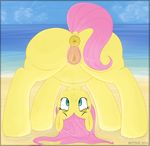  2016 animal_genitalia animal_pussy anus beach butt equine equine_pussy female feral fluttershy_(mlp) friendship_is_magic mammal mittsies my_little_pony outside pegasus pubes pussy seaside solo wings 