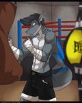  abs absurd_res anthro bandage black_hair blue_eyes blue_skin clothed clothing detailed_background fish fur grey_fur grey_skin hair half-closed_eyes hi_res inside male marine multicolored_skin muscular muscular_male pecs punching_bag shark shorts solo standing topless white_fur xaenyth 